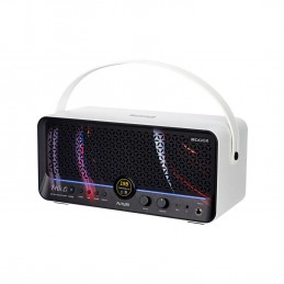 MOOER F40I LI  SNOWFALL W