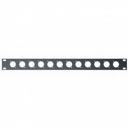 RS/243 Pannello rack 19 preforato da 1 unità"