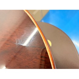 CORT GOLD-A10 NAT W/CASE