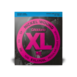D'ADDARIO EXL170SL 45/100...