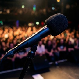 SE ELECTRONICS WS07 External Windscreen per Microfoni Vocaliserie V