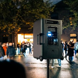 LD Systems ANNY® 12