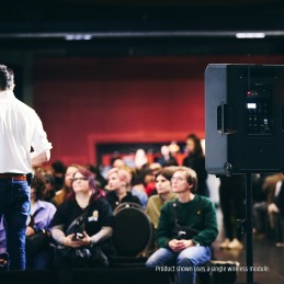 LD Systems ANNY® 12 BPH2 B5