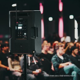 LD Systems ANNY® 12 HHD2 B5