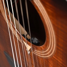CORT LUXE NYLON II BKB W/CASE