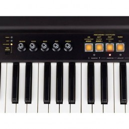 CRUMAR Mojo 61 MK2