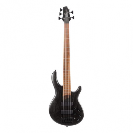 CORT ARTISAN B5 ELEMENT - OPTB