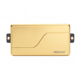 Fluence Modern Humbucker Alnico 6 Corde Gold