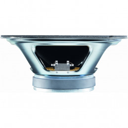 Classic Lead 80W 16ohm