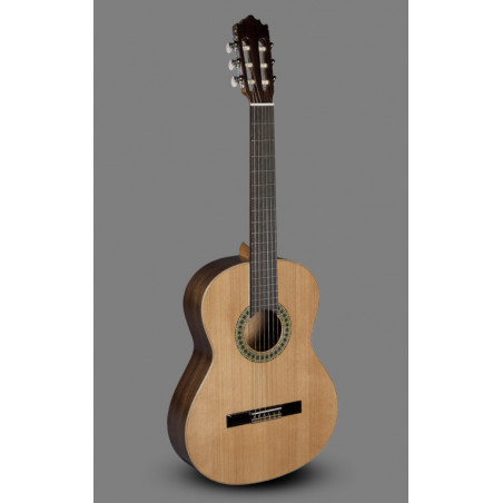 PACO CASTILLO 201 - NATURAL GLOSS