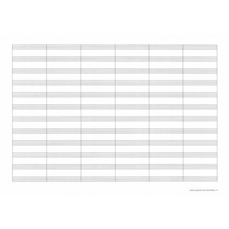 111 BLOCCO 12 RIGHI PER ARRANGIATORE