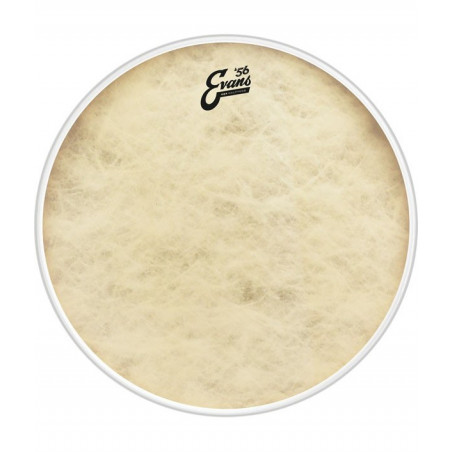 EVANS BD20GB4CT - EQ4 CLAFTONE PELLE CASSA 20"