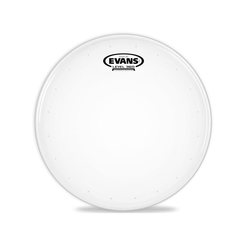 EVANS B14DRY PELLE PER RULLANTE SABBIATA GENERA DRY 14"