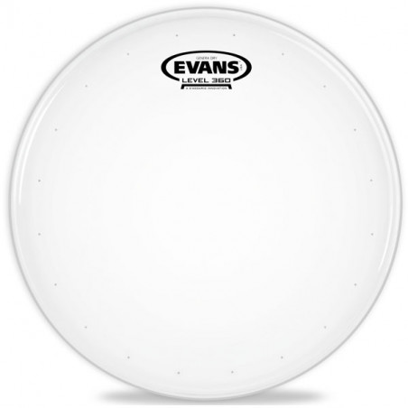 EVANS B14DRY PELLE PER RULLANTE SABBIATA GENERA DRY 14"
