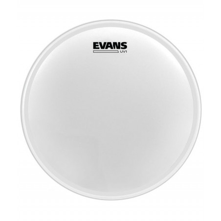 EVANS BD24UV1 PELLE CASSA 24" COATED