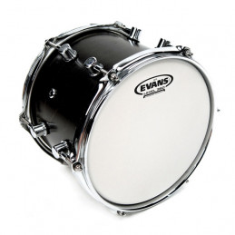 EVANS B12G14 G14 PELLE TOM SABBIATA 12"