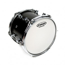 EVANS B10G1 GENERA G1 PELLE TOM SABBIATA 10"