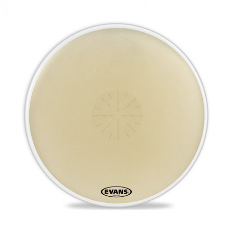 EVANS CB4014SD STRATA 1400 GRANCASSA DA CONCERTI 40”