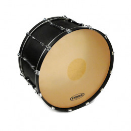 EVANS CB4014SD STRATA 1400 GRANCASSA DA CONCERTI 40”