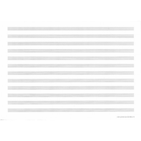 112 BLOCCO 12 RIGHI PER ARRANGIATORE SENZA BATTUTE