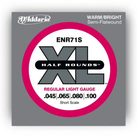 D'ADDARIO ENR71S BASS STRINGS 45-100