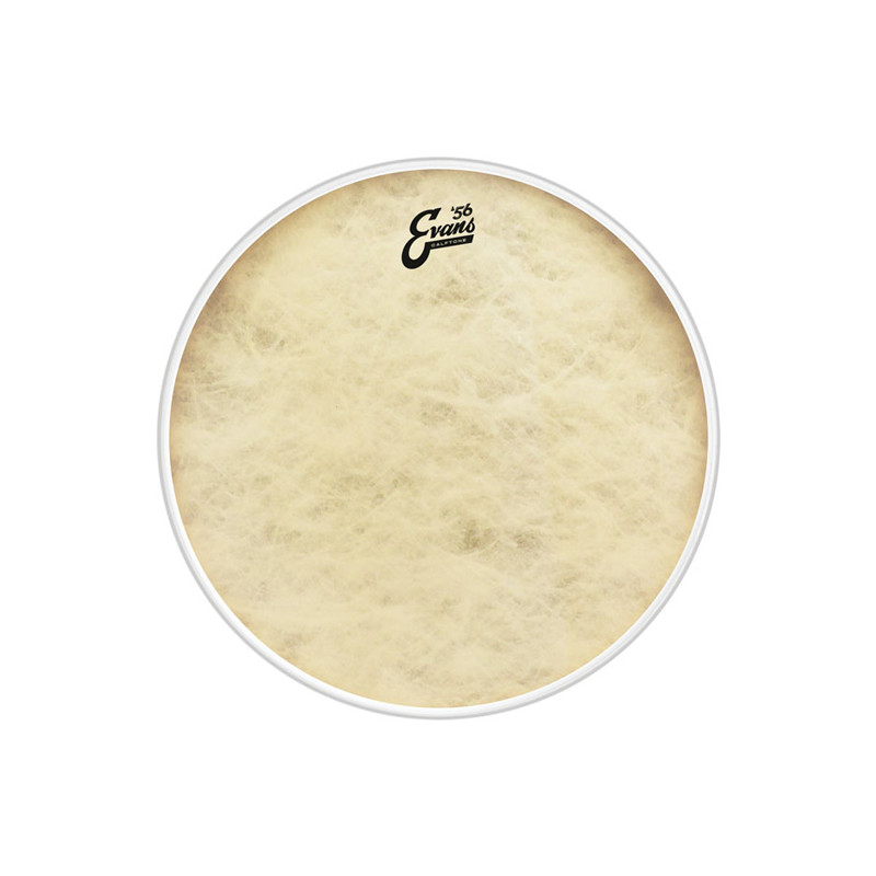 EVANS BD20CT PELLE RISONANTE GRANCASSA CALFTONE 20"