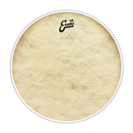 EVANS BD20CT PELLE RISONANTE GRANCASSA CALFTONE 20"