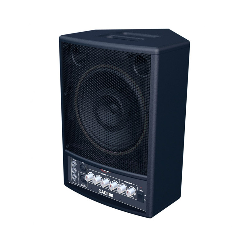 PRODIPE CAB 100 STAGE MONITOR