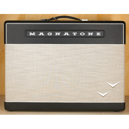 MAGNATONE SUPER THIRTY - COMBO