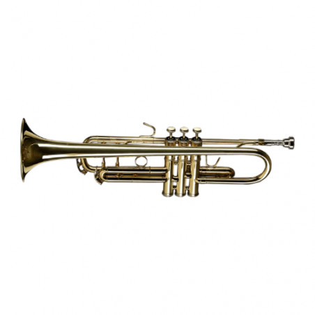 CIGALINI TRSM TROMBA " SMART "