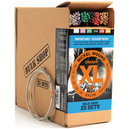 D'ADDARIO EXL110 - B25