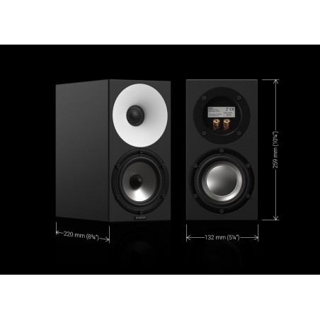 AMPHION ONE 12