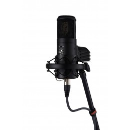 Microfono Professionale da studio a Condensatore Valvolare
