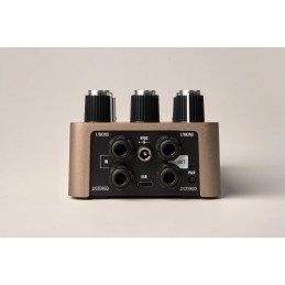 Pedale riverbero stereo con effetti Spring, Plate e Digital Vintage, true o buffered bypass, modalità Live/Presets, effetti aggi