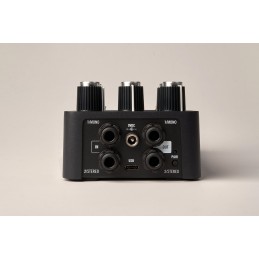 Pedale Stereo delay con effetti Tape, Analog e Digital, true o buffered bypass, modi Preset e Tap Tempo, effetti scaricabili e a