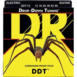 DDT-12 DROP DOWN