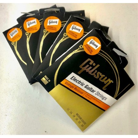 GIBSON SEG-HVR11 PACK-5