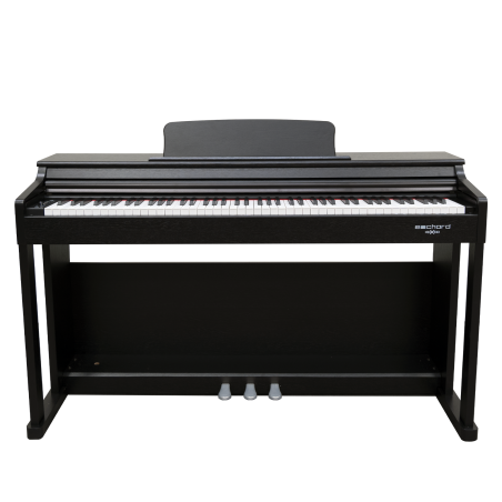 ECHORD DPX-100 DIGITAL PIANO 88 NOTE - SATIN BLACK