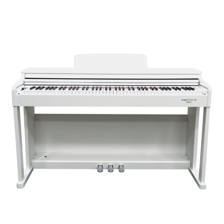 ECHORD DPX-100 DIGITAL PIANO 88 NOTE - SATIN WHITE