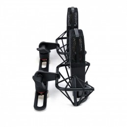 Coppia selezionata di SE 4400a completa di barra per riprese stereo